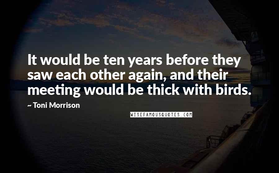 Toni Morrison Quotes: It would be ten years before they saw each other again, and their meeting would be thick with birds.