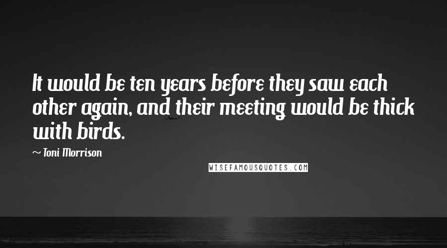 Toni Morrison Quotes: It would be ten years before they saw each other again, and their meeting would be thick with birds.