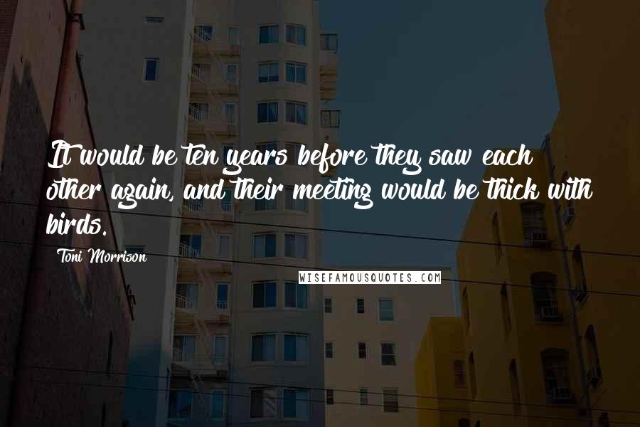 Toni Morrison Quotes: It would be ten years before they saw each other again, and their meeting would be thick with birds.