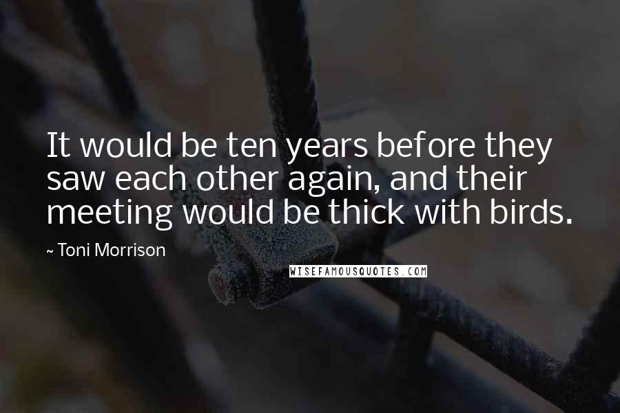 Toni Morrison Quotes: It would be ten years before they saw each other again, and their meeting would be thick with birds.