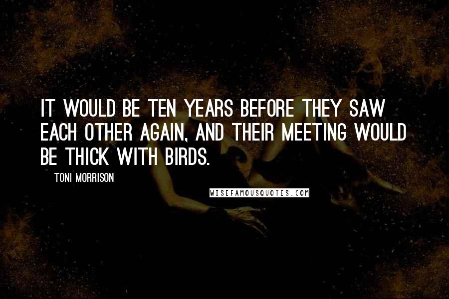 Toni Morrison Quotes: It would be ten years before they saw each other again, and their meeting would be thick with birds.