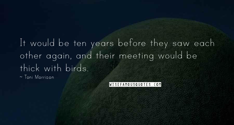 Toni Morrison Quotes: It would be ten years before they saw each other again, and their meeting would be thick with birds.