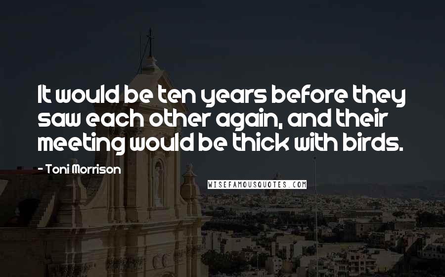 Toni Morrison Quotes: It would be ten years before they saw each other again, and their meeting would be thick with birds.