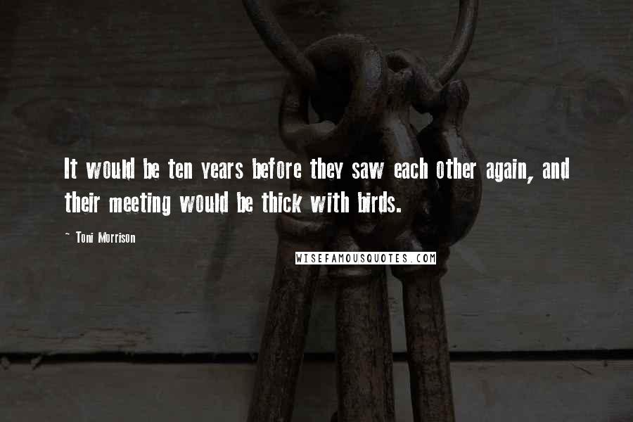 Toni Morrison Quotes: It would be ten years before they saw each other again, and their meeting would be thick with birds.