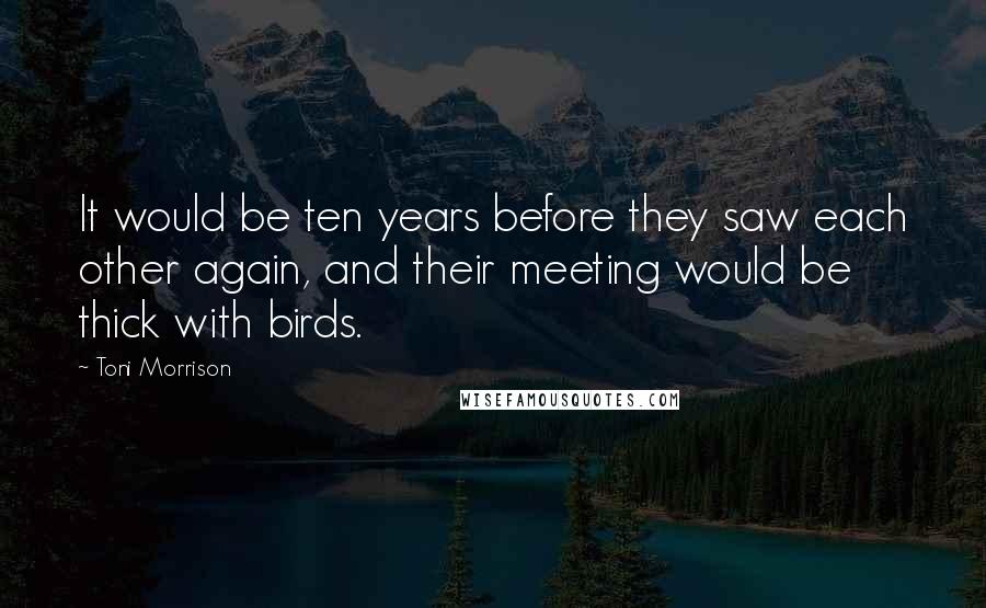Toni Morrison Quotes: It would be ten years before they saw each other again, and their meeting would be thick with birds.
