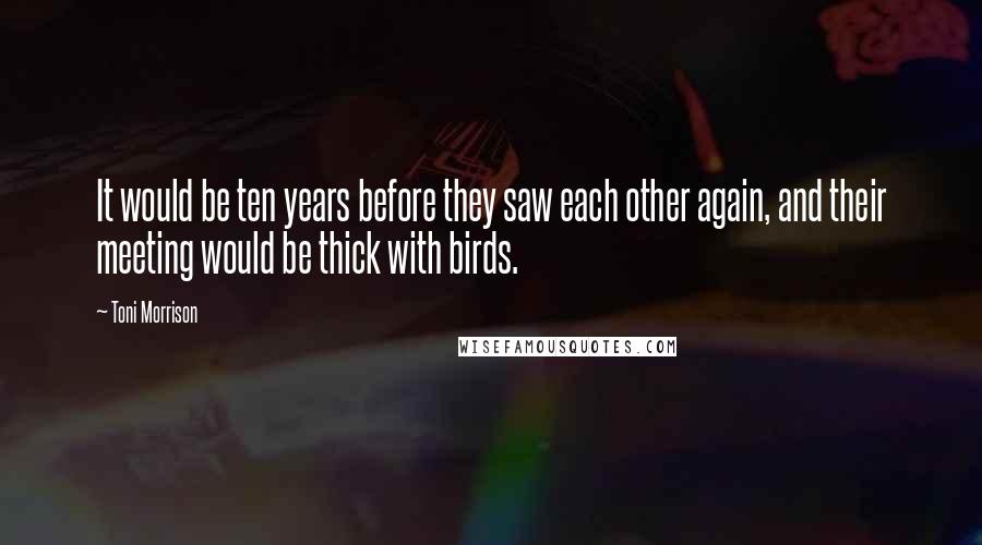 Toni Morrison Quotes: It would be ten years before they saw each other again, and their meeting would be thick with birds.