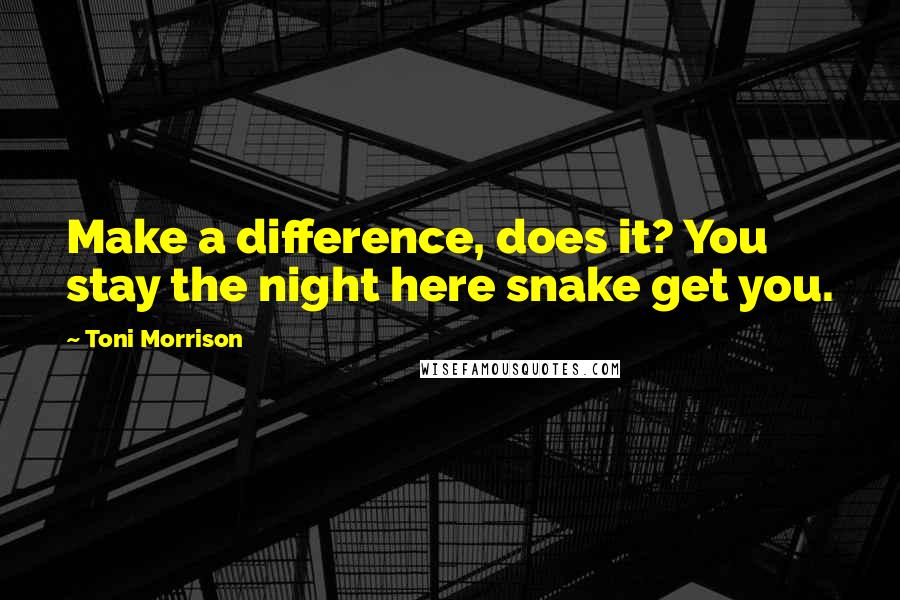 Toni Morrison Quotes: Make a difference, does it? You stay the night here snake get you.