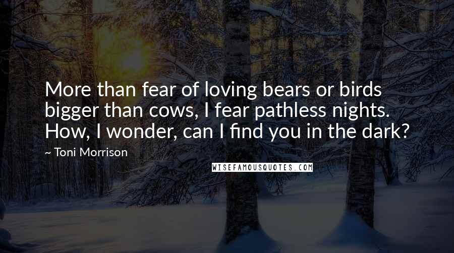 Toni Morrison Quotes: More than fear of loving bears or birds bigger than cows, I fear pathless nights. How, I wonder, can I find you in the dark?