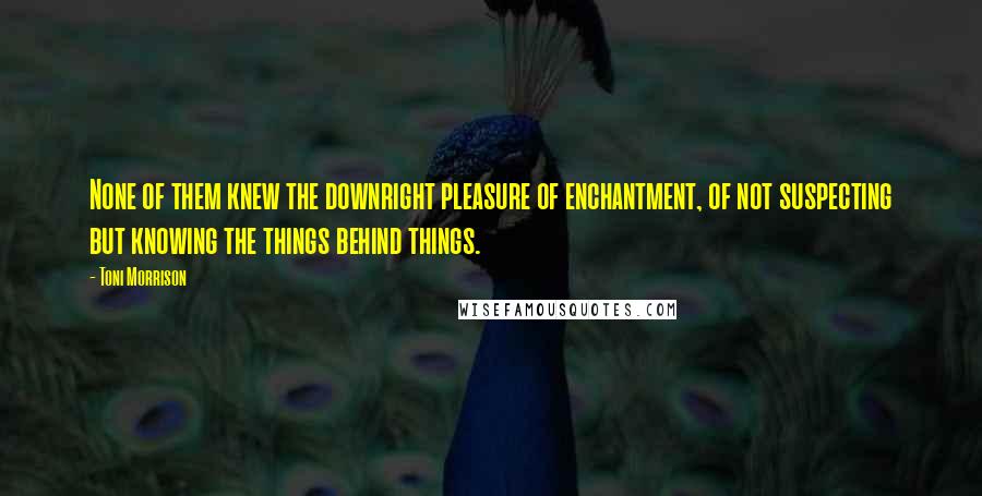 Toni Morrison Quotes: None of them knew the downright pleasure of enchantment, of not suspecting but knowing the things behind things.