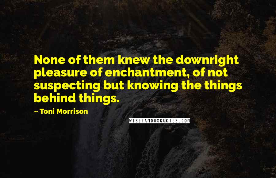 Toni Morrison Quotes: None of them knew the downright pleasure of enchantment, of not suspecting but knowing the things behind things.