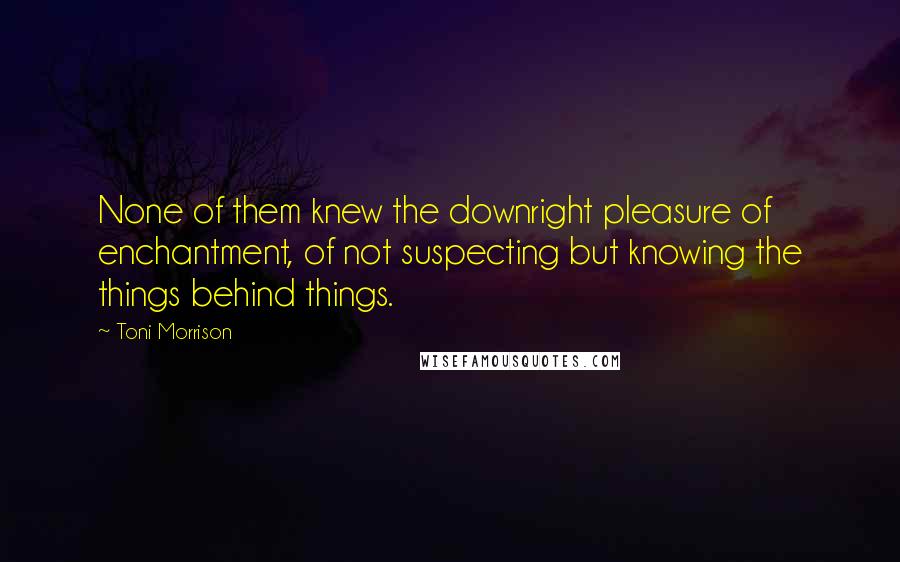 Toni Morrison Quotes: None of them knew the downright pleasure of enchantment, of not suspecting but knowing the things behind things.