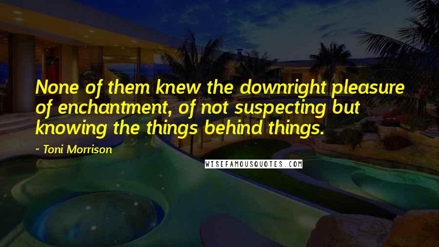 Toni Morrison Quotes: None of them knew the downright pleasure of enchantment, of not suspecting but knowing the things behind things.