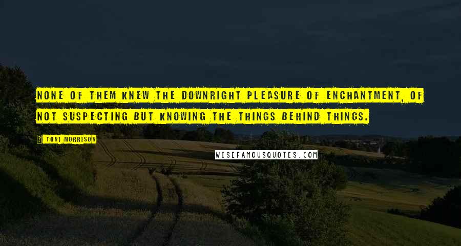 Toni Morrison Quotes: None of them knew the downright pleasure of enchantment, of not suspecting but knowing the things behind things.