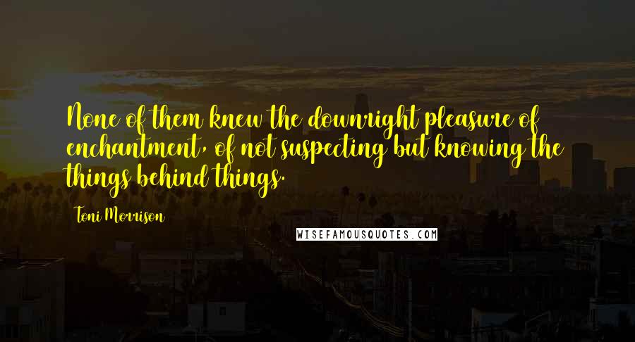 Toni Morrison Quotes: None of them knew the downright pleasure of enchantment, of not suspecting but knowing the things behind things.