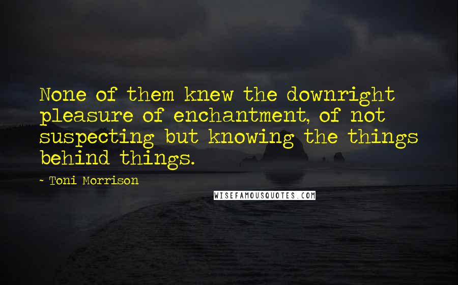 Toni Morrison Quotes: None of them knew the downright pleasure of enchantment, of not suspecting but knowing the things behind things.