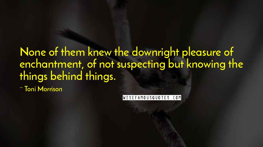 Toni Morrison Quotes: None of them knew the downright pleasure of enchantment, of not suspecting but knowing the things behind things.