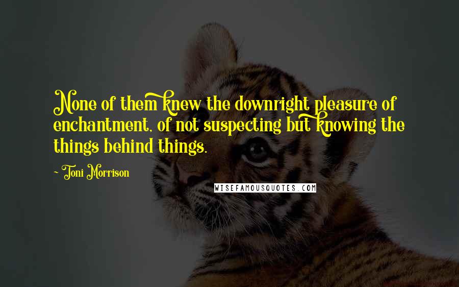 Toni Morrison Quotes: None of them knew the downright pleasure of enchantment, of not suspecting but knowing the things behind things.