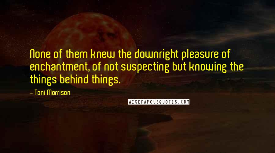 Toni Morrison Quotes: None of them knew the downright pleasure of enchantment, of not suspecting but knowing the things behind things.