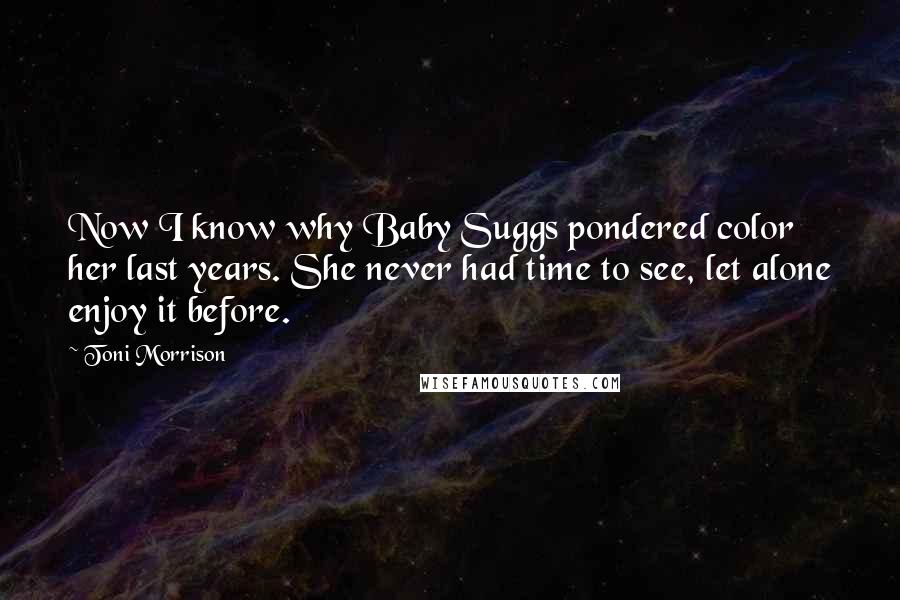 Toni Morrison Quotes: Now I know why Baby Suggs pondered color her last years. She never had time to see, let alone enjoy it before.
