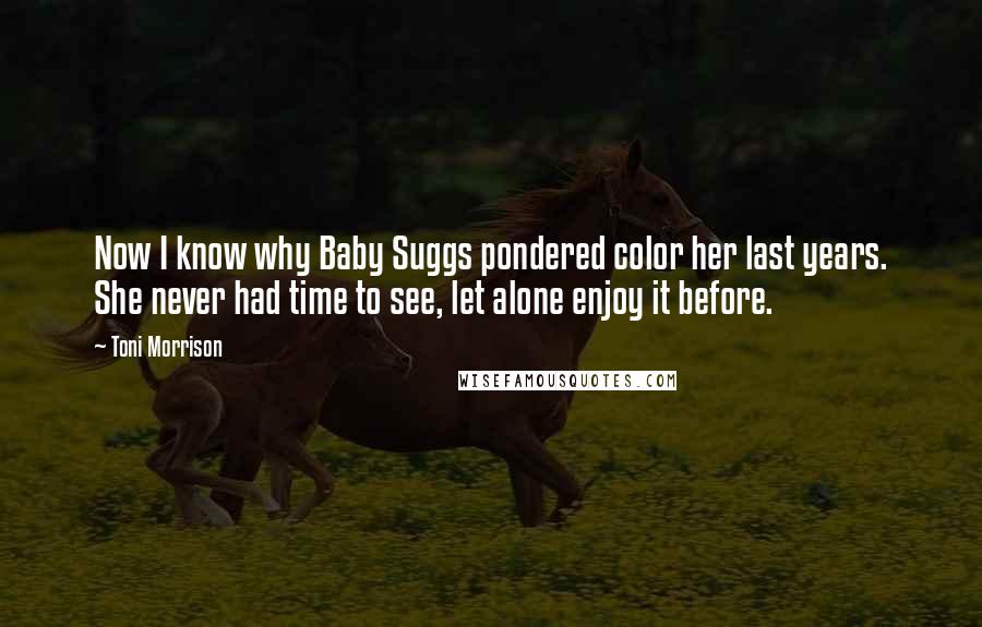 Toni Morrison Quotes: Now I know why Baby Suggs pondered color her last years. She never had time to see, let alone enjoy it before.