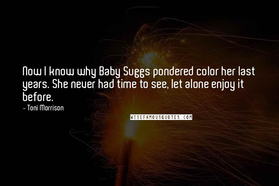 Toni Morrison Quotes: Now I know why Baby Suggs pondered color her last years. She never had time to see, let alone enjoy it before.