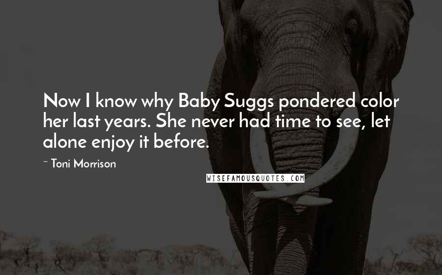 Toni Morrison Quotes: Now I know why Baby Suggs pondered color her last years. She never had time to see, let alone enjoy it before.