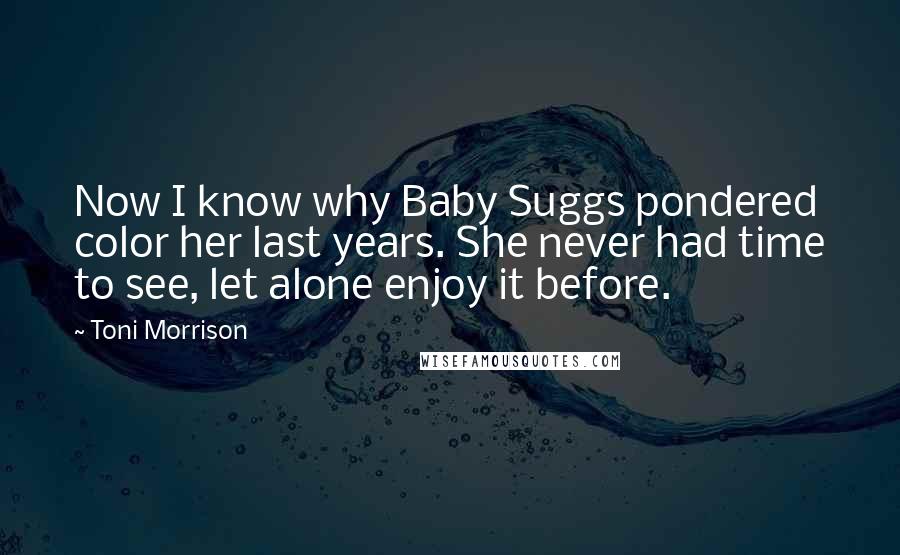 Toni Morrison Quotes: Now I know why Baby Suggs pondered color her last years. She never had time to see, let alone enjoy it before.