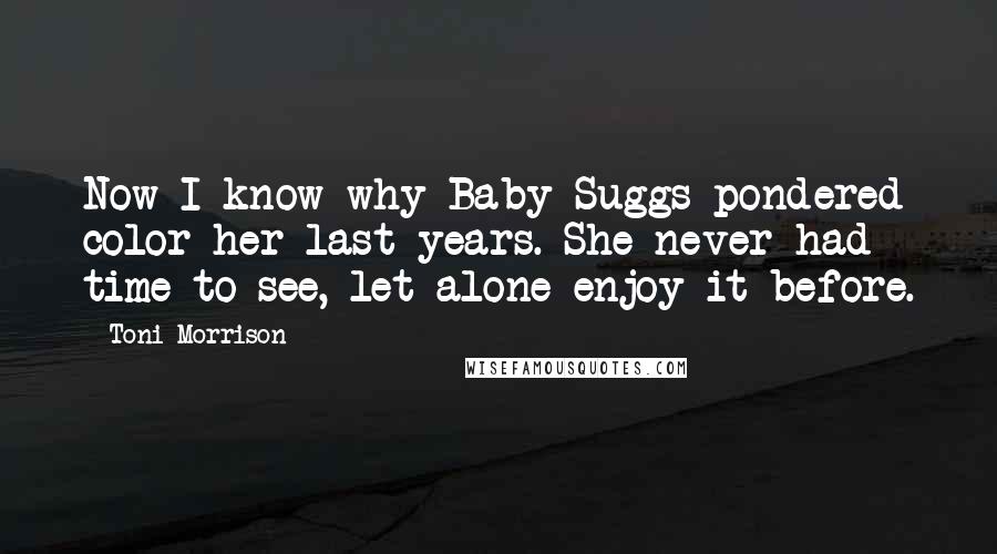 Toni Morrison Quotes: Now I know why Baby Suggs pondered color her last years. She never had time to see, let alone enjoy it before.