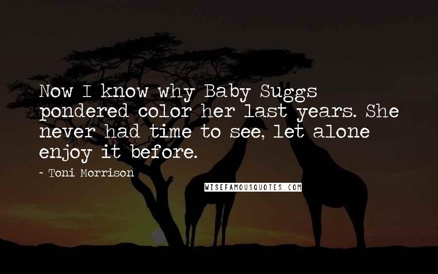 Toni Morrison Quotes: Now I know why Baby Suggs pondered color her last years. She never had time to see, let alone enjoy it before.