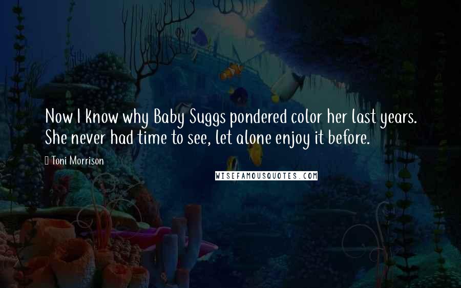 Toni Morrison Quotes: Now I know why Baby Suggs pondered color her last years. She never had time to see, let alone enjoy it before.