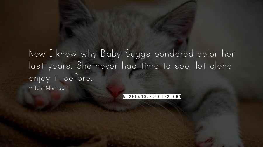 Toni Morrison Quotes: Now I know why Baby Suggs pondered color her last years. She never had time to see, let alone enjoy it before.