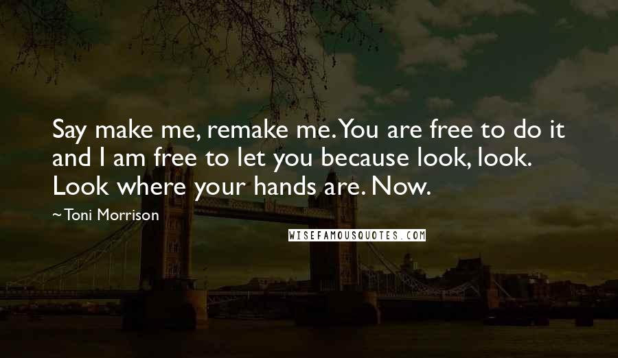 Toni Morrison Quotes: Say make me, remake me. You are free to do it and I am free to let you because look, look. Look where your hands are. Now.