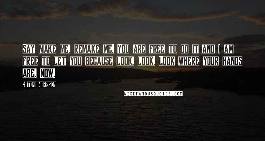 Toni Morrison Quotes: Say make me, remake me. You are free to do it and I am free to let you because look, look. Look where your hands are. Now.