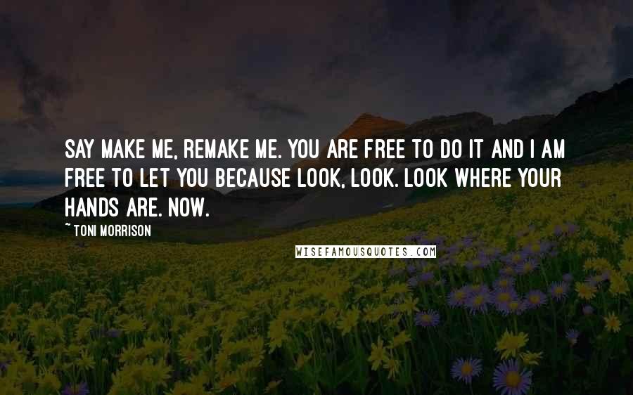 Toni Morrison Quotes: Say make me, remake me. You are free to do it and I am free to let you because look, look. Look where your hands are. Now.