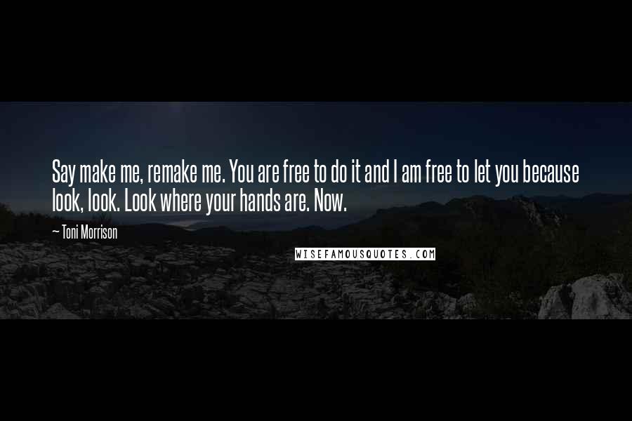 Toni Morrison Quotes: Say make me, remake me. You are free to do it and I am free to let you because look, look. Look where your hands are. Now.