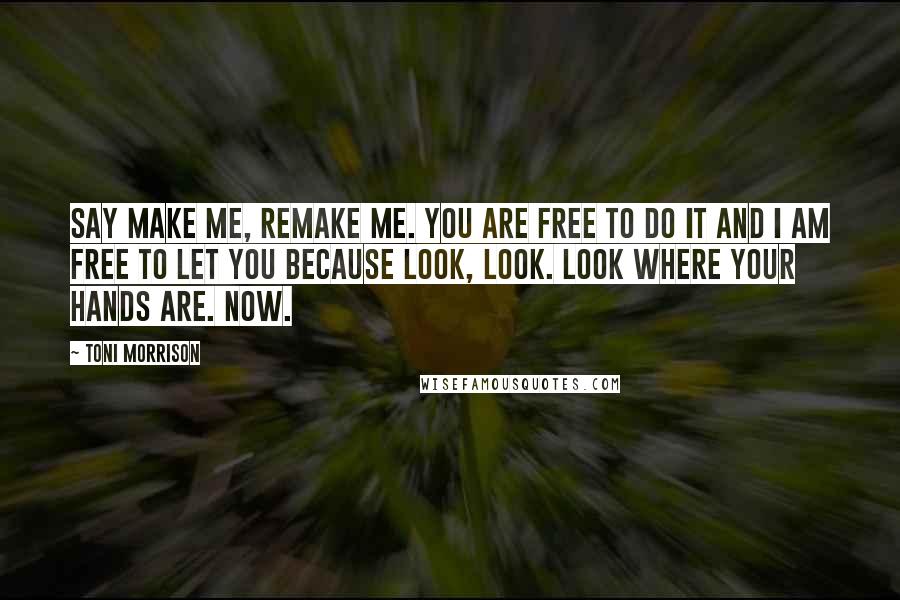 Toni Morrison Quotes: Say make me, remake me. You are free to do it and I am free to let you because look, look. Look where your hands are. Now.