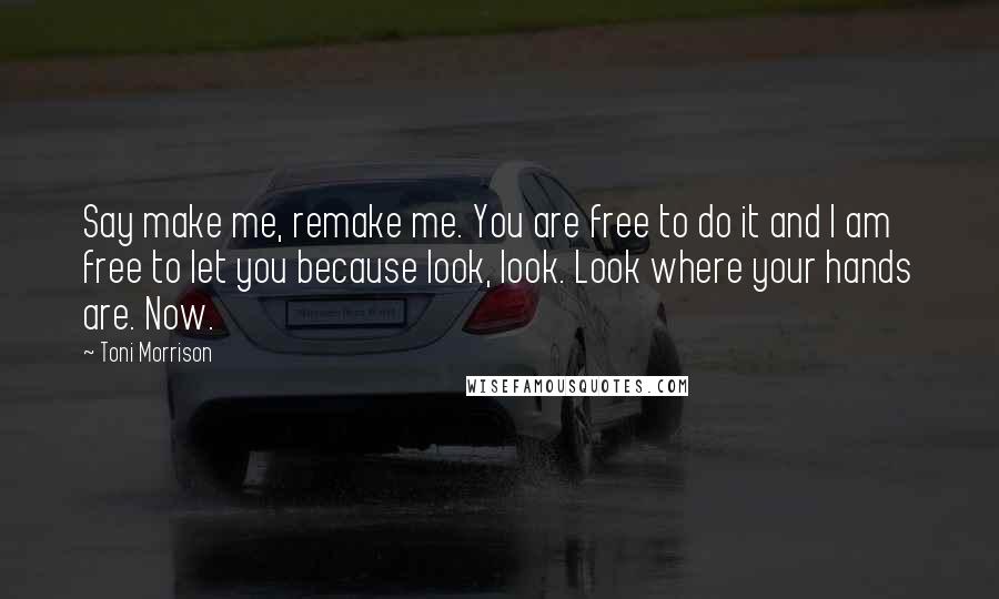 Toni Morrison Quotes: Say make me, remake me. You are free to do it and I am free to let you because look, look. Look where your hands are. Now.