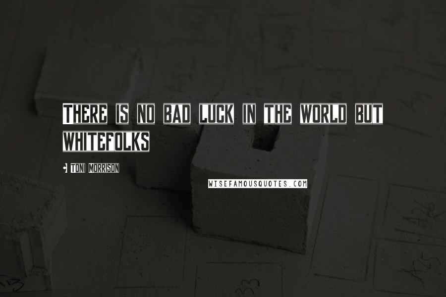 Toni Morrison Quotes: There is no bad luck in the world but whitefolks