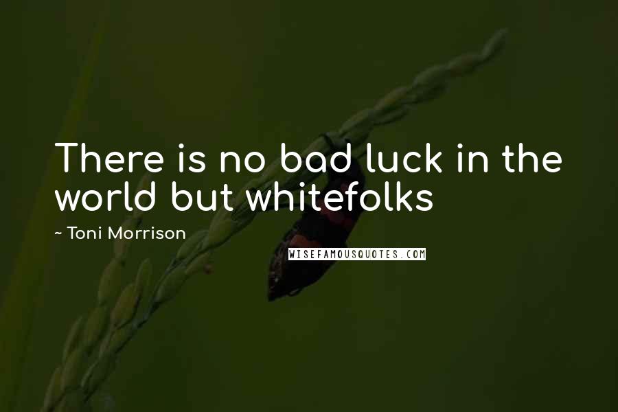 Toni Morrison Quotes: There is no bad luck in the world but whitefolks