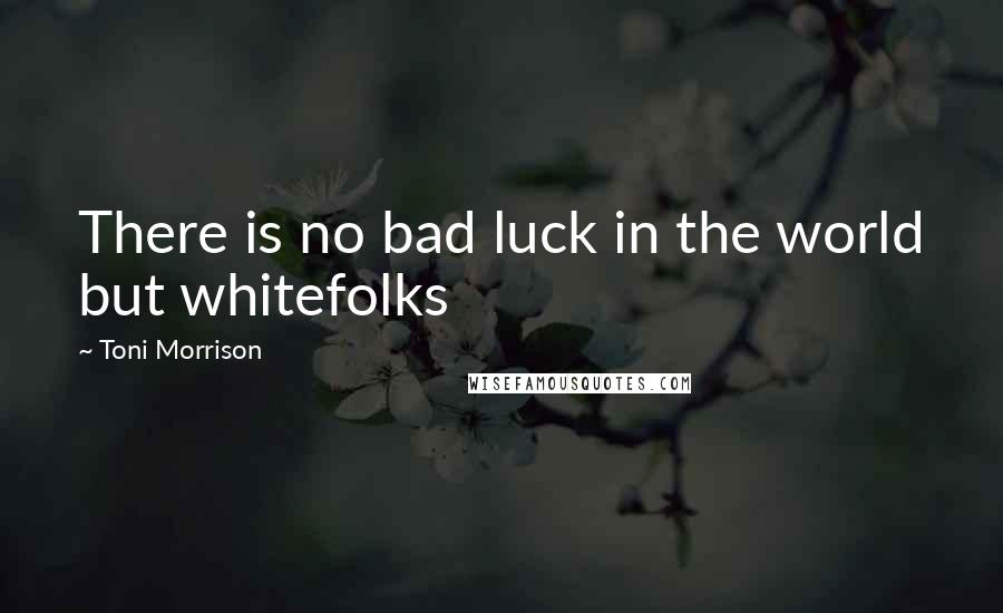 Toni Morrison Quotes: There is no bad luck in the world but whitefolks