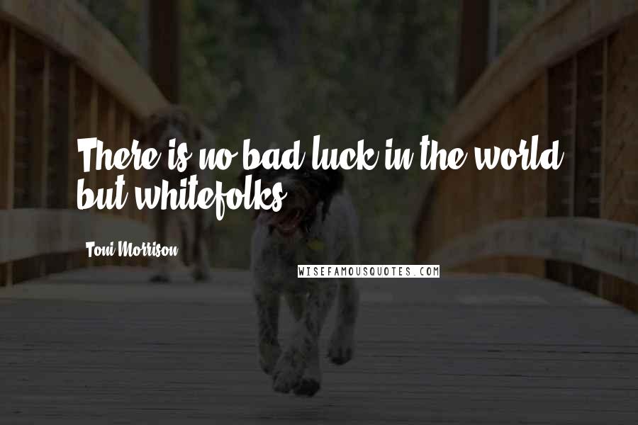 Toni Morrison Quotes: There is no bad luck in the world but whitefolks