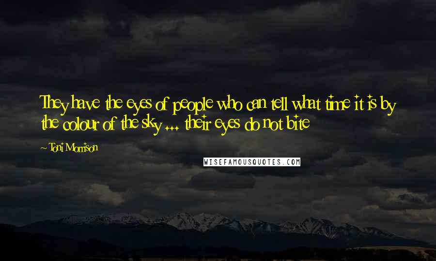 Toni Morrison Quotes: They have the eyes of people who can tell what time it is by the colour of the sky ... their eyes do not bite