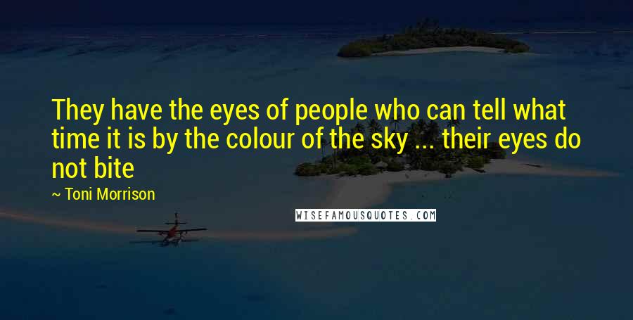 Toni Morrison Quotes: They have the eyes of people who can tell what time it is by the colour of the sky ... their eyes do not bite