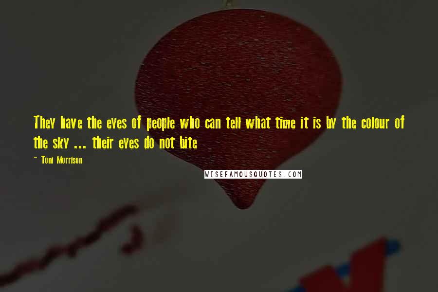 Toni Morrison Quotes: They have the eyes of people who can tell what time it is by the colour of the sky ... their eyes do not bite