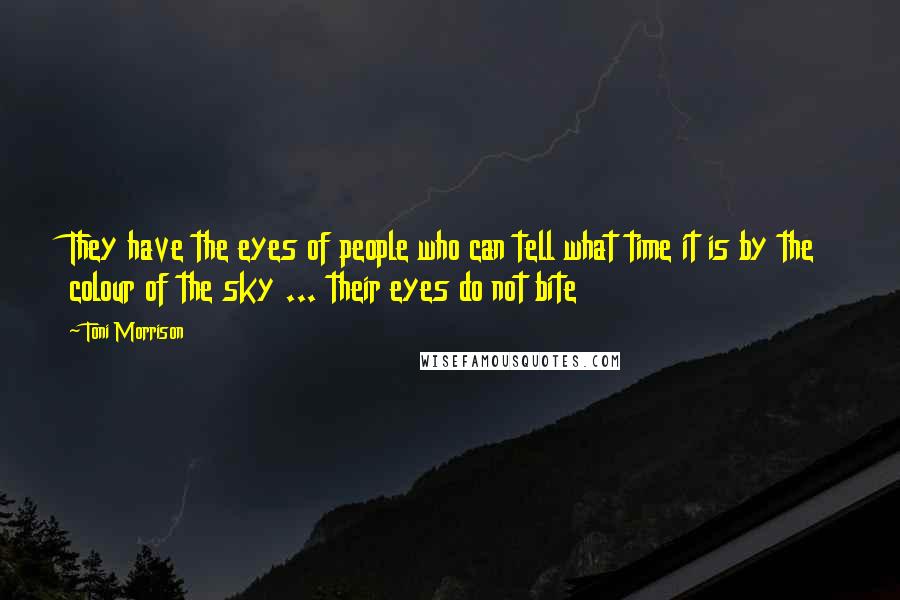 Toni Morrison Quotes: They have the eyes of people who can tell what time it is by the colour of the sky ... their eyes do not bite