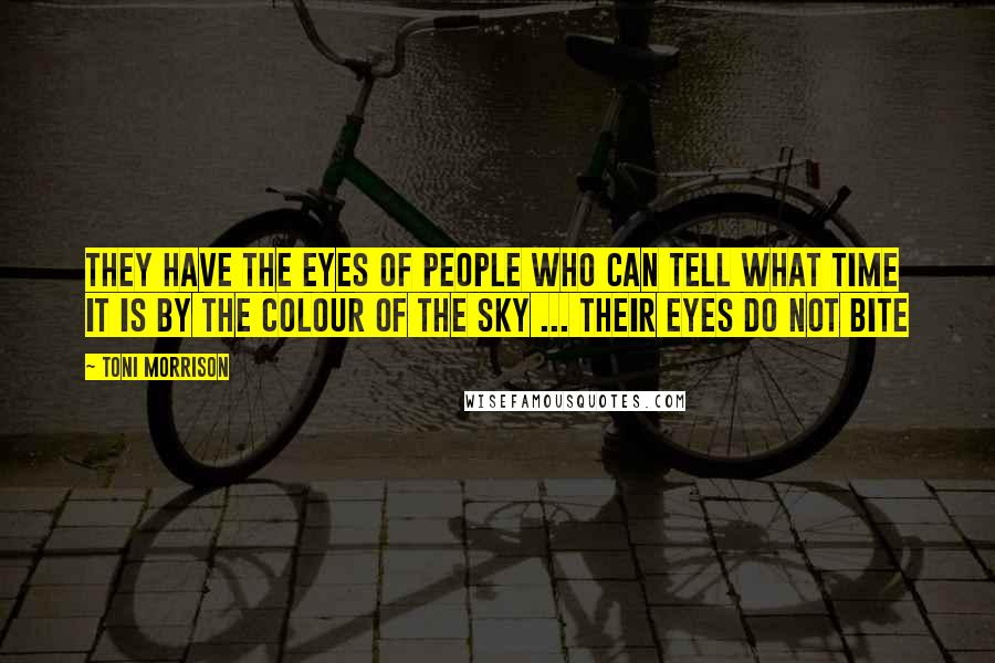 Toni Morrison Quotes: They have the eyes of people who can tell what time it is by the colour of the sky ... their eyes do not bite