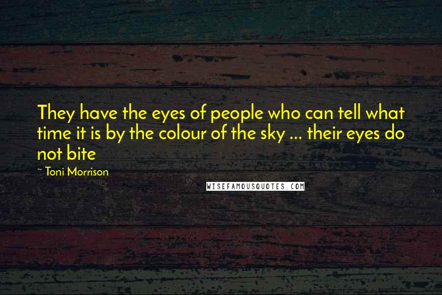 Toni Morrison Quotes: They have the eyes of people who can tell what time it is by the colour of the sky ... their eyes do not bite