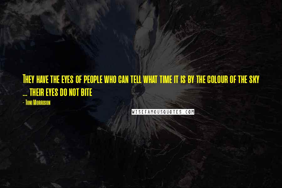 Toni Morrison Quotes: They have the eyes of people who can tell what time it is by the colour of the sky ... their eyes do not bite