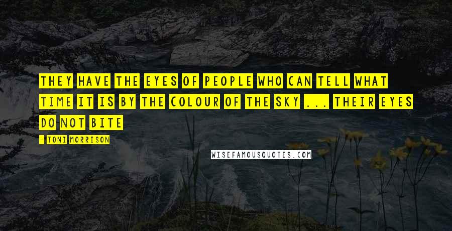 Toni Morrison Quotes: They have the eyes of people who can tell what time it is by the colour of the sky ... their eyes do not bite