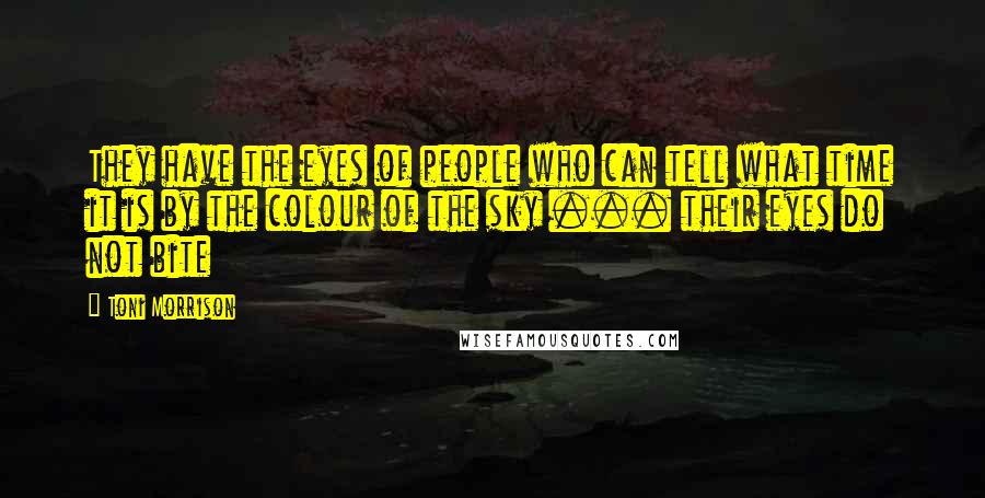 Toni Morrison Quotes: They have the eyes of people who can tell what time it is by the colour of the sky ... their eyes do not bite